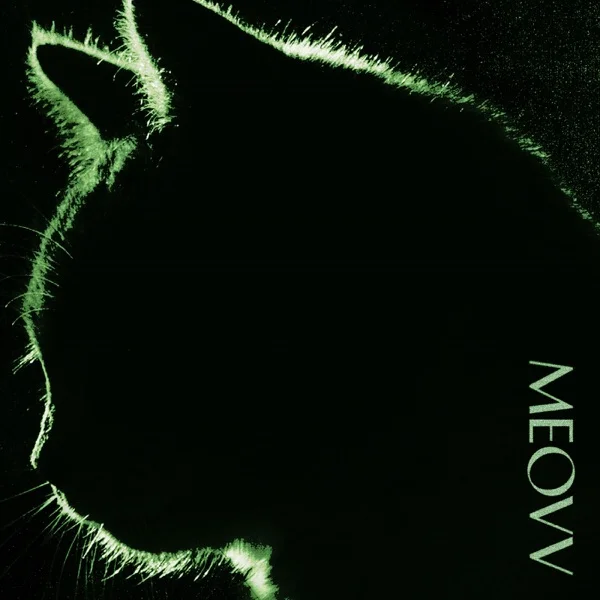 Песня: MEOVV - TOXIC. Формат: Mp3 320 kbps. Размер: 7.26 Mb. Длительность: 3:10. Дата выхода: 19 ноября 2024!